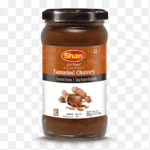 Shan Tamarind chutney