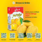 Shezan Mango Drink (Juice) 250ml