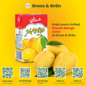 Shezan Mango Drink (Juice) 250ml