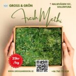 Färsk Methi (Fenugreek Leaves)