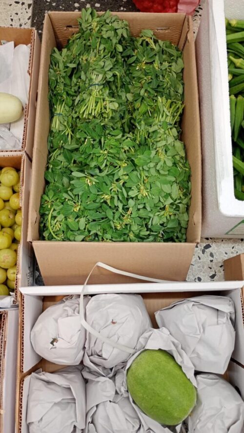 Fresh Vegetables