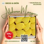 Alphonso Manoges