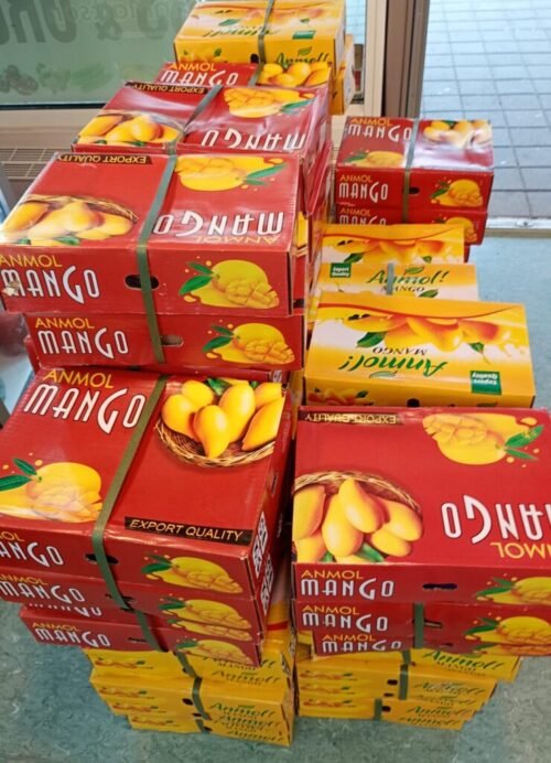 Pakistni mngo box