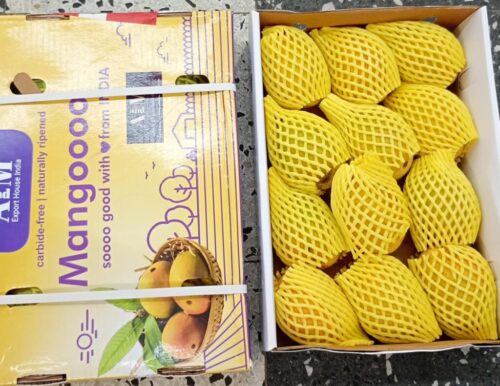 Fresh Indian Alphonso Mangoes (King of Mangoes) | Gross & Grön, Sollentuna